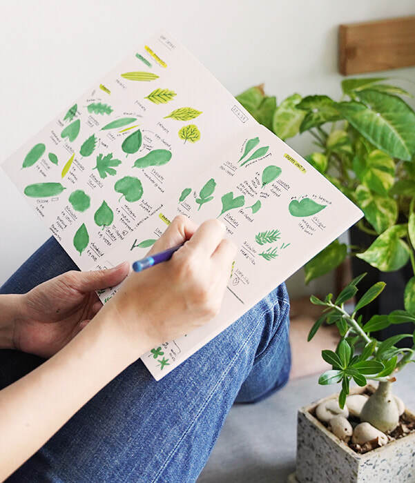 Illustration of collaboration